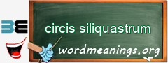 WordMeaning blackboard for circis siliquastrum